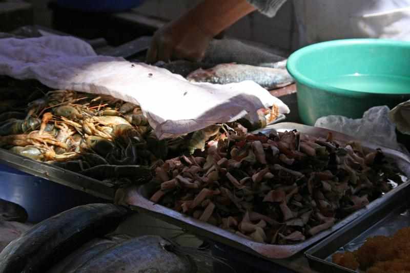 Peru 0452